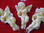 Gastronomia06